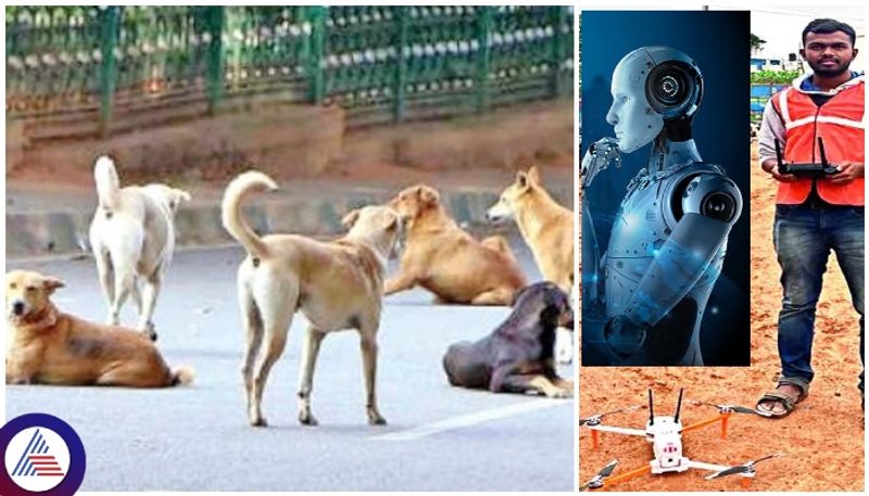 BBMP Stray dogs are surveyed in Bengaluru using artificial intelligence and drones sat