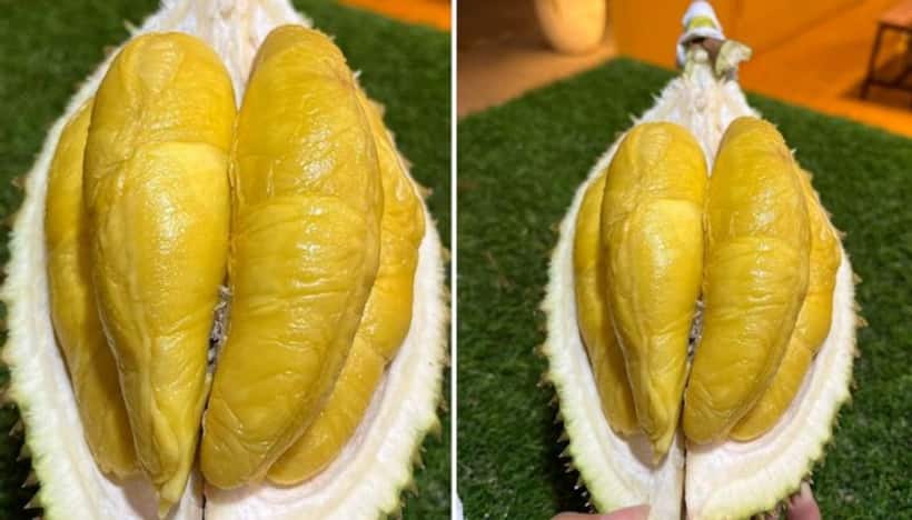 Digestive health to mood booster: 5 health benefits of Durian