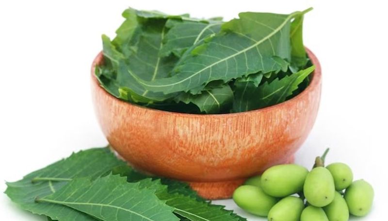 5 incredible benefits of using Neem for our Skin vma eai