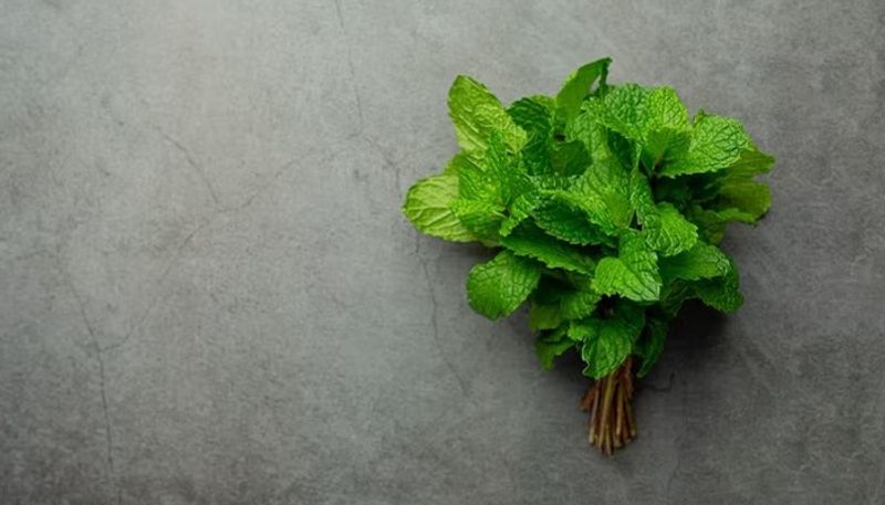 know the health benefits of mint leaves water 