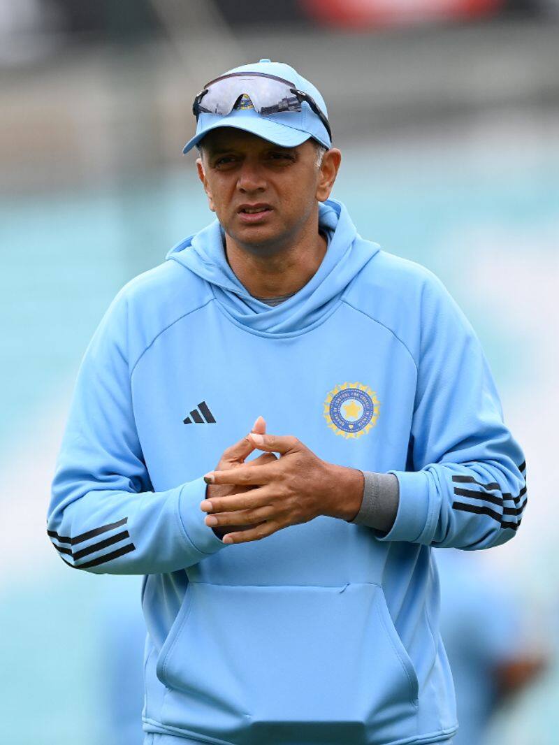 if rahul dravid quits this names consider for new head coach role of team india jje 