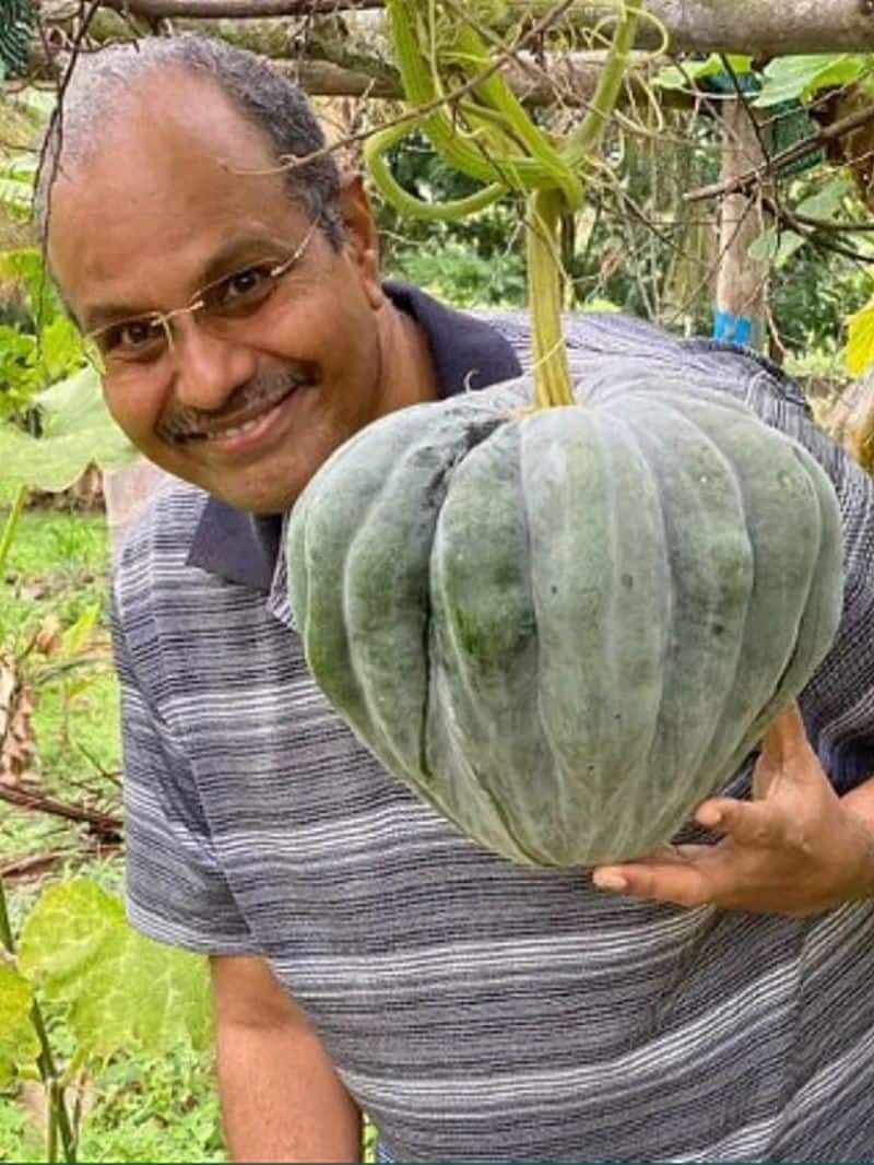 Preserving vegetable seeds for a sustainable future of farming iwh