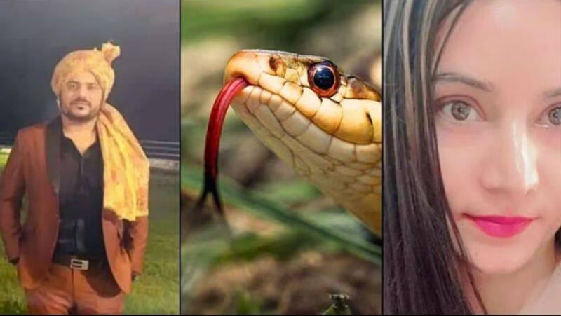 Boyfriend Killed by Cobra in uttarakhand