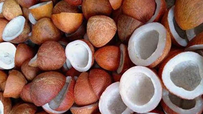 Coconut price crosses Rs 12000 per quintal Farmers happy at tumakuru gvd