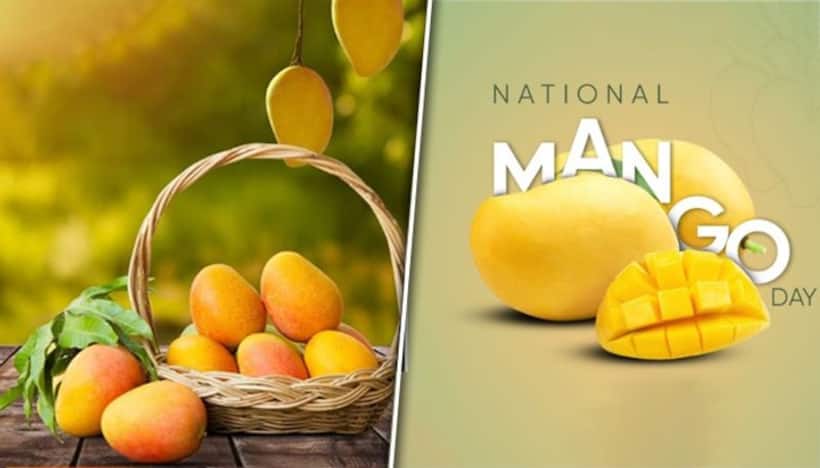National Mango Day 2023: Embrace tropical splendour of the King of Fruits