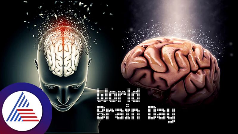 World Brain day what you know about brain health sum