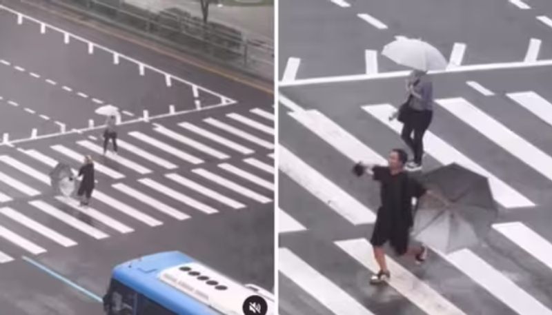 man dancing in rain while crossing the road video going viral hyp