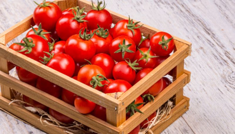 tomato prices will rise; prediction in arcot almanac 