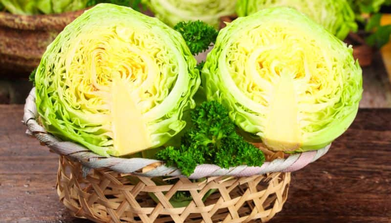 benefits of cabbage you must know azn 