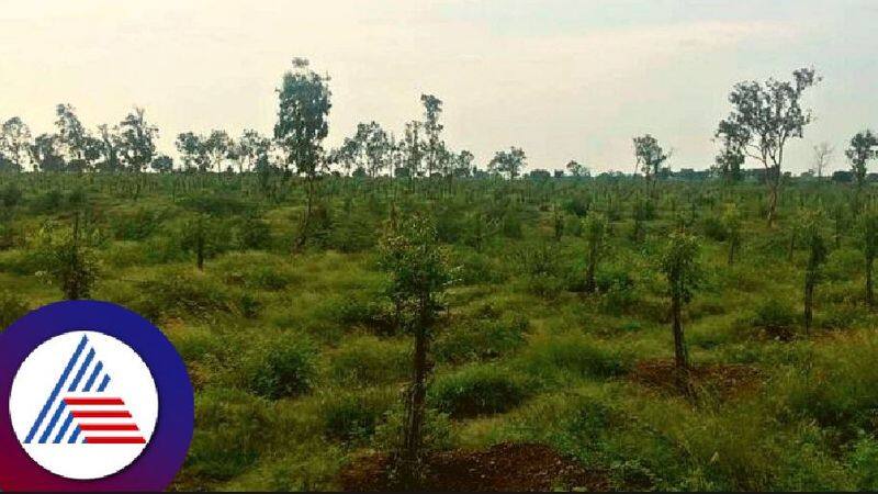 Tumkur inauguration of Forest Orchard snr