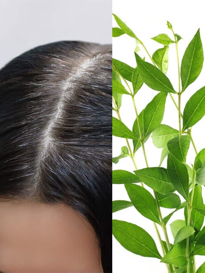 remedies to get rid of greying of hair azn