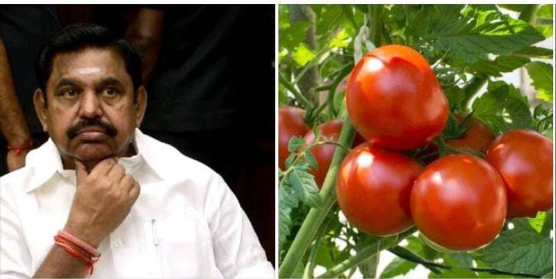 Edappadi Palaniswami has said that you can buy apples for the price of tomatoes