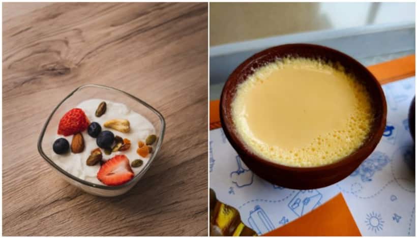 Incredible health benefits of Curd: A probiotic powerhouse for wellness