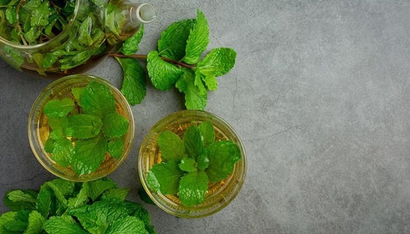 5 Health benefits of Peppermint on your Body vma eai