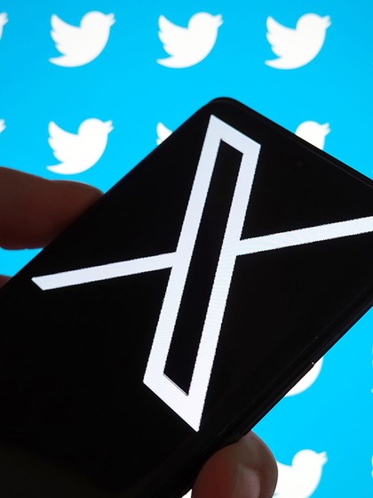 Twitter bird has flown away