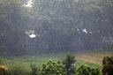 Kolkata Weather LATEST update: South Bengal to experience heavy rainfall; check forecast
