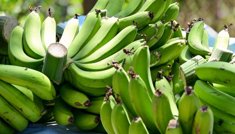 amazing health benefits of eating green banana in tamil mks