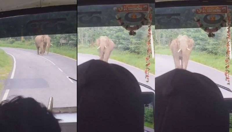 wild tusker charges on karnataka bus and passengers gets a close call with wild elephant etj