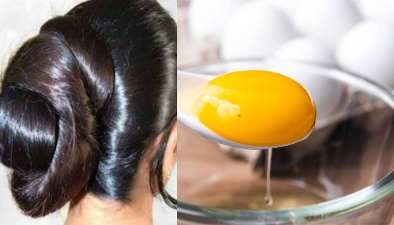 egg hair masks for hair fall azn 