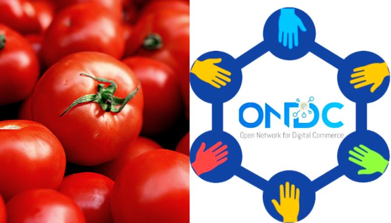 Subsidised tomatoes now available online apk 