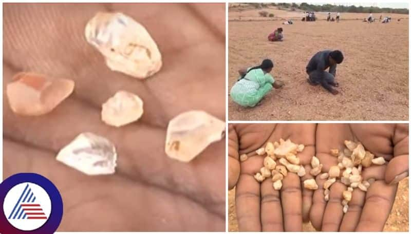 Vijayanagara empire Wealth found in kurnool agricultural land People searching for diamonds sat