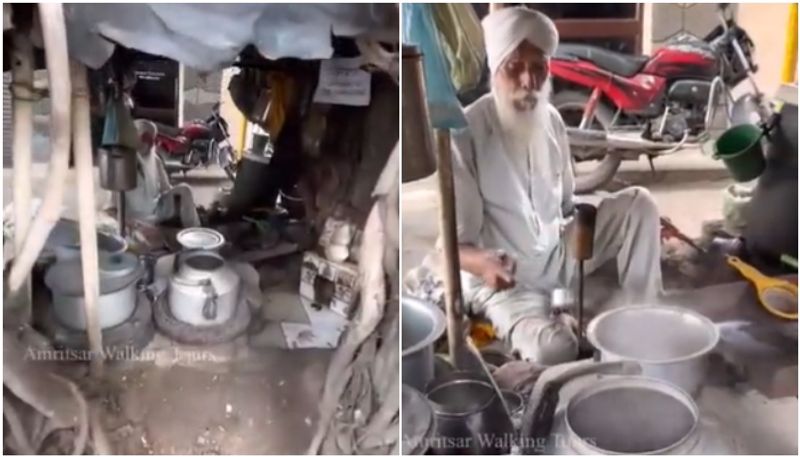 old man running tea stall inside a tree hyp