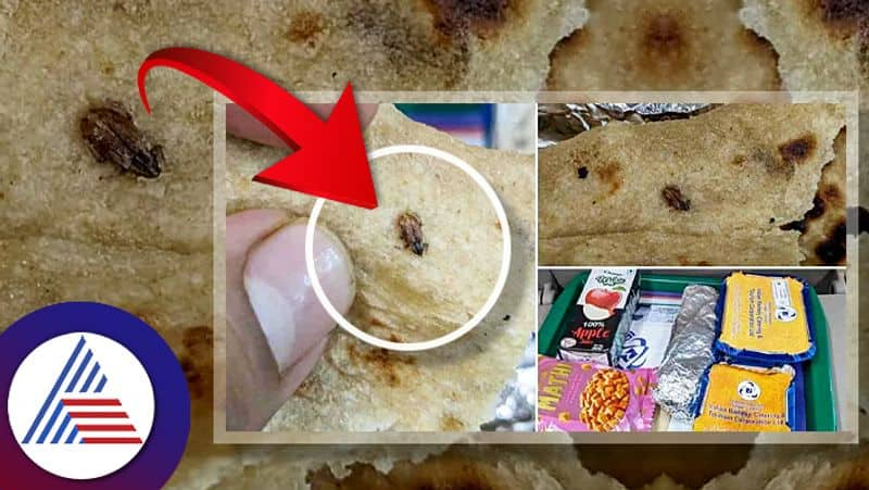 Passenger shares pics of cockroach found in meal on Vande Bharat, IRCTC replies Vin