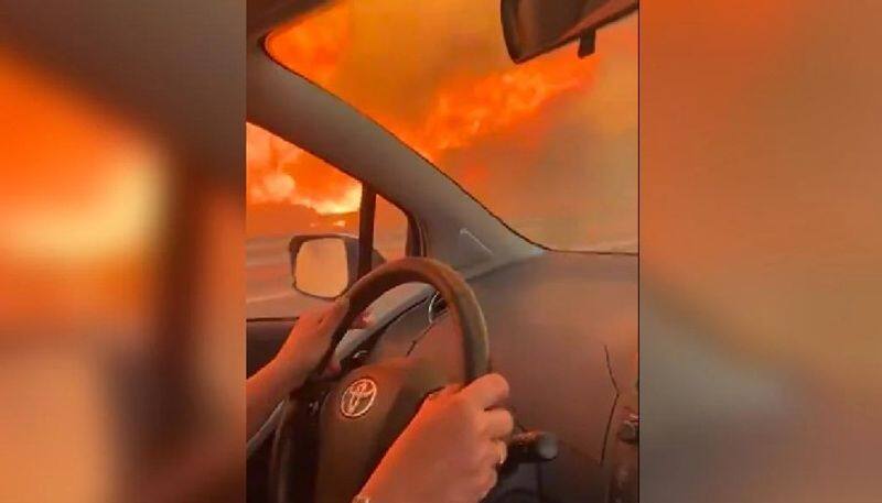 Wildfires ravage Italy: Terrifying video of woman's attempt to flee blaze in Sicily goes viral (WATCH) snt