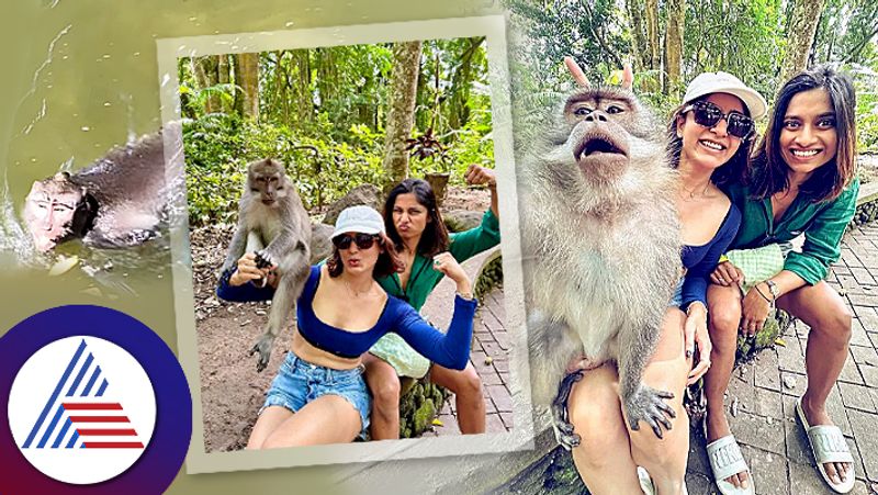 Samanthas Selfie with monkeys and  6 mins ice bath in Bali suc