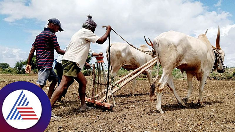 Good news for farmers of Tumkur: From now on get animal fodder from Bank snr