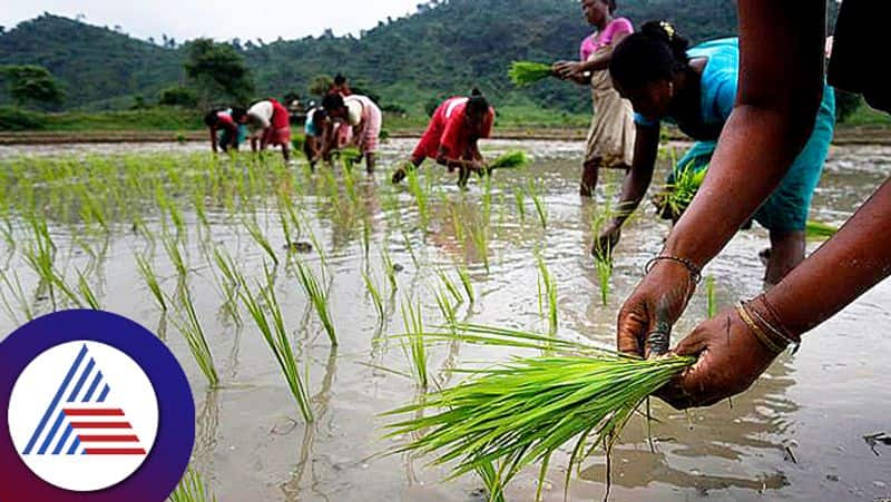 Centre is going to bring corporate agriculture snr