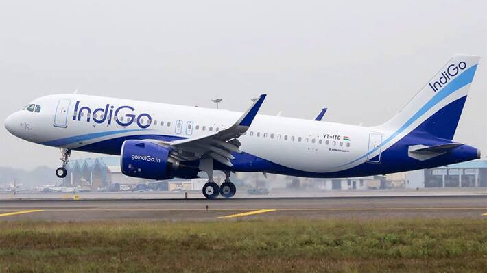 indigo airlines
