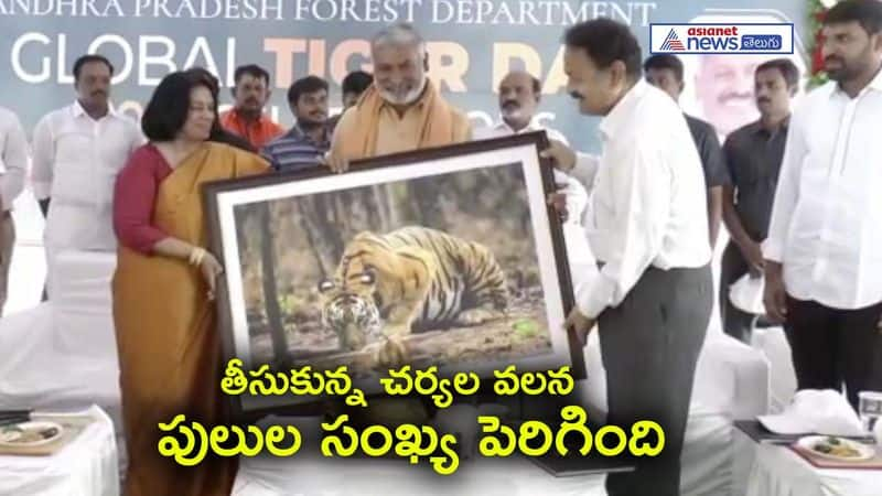 50th Global Tiger Day celebrations at SV Zoo Park