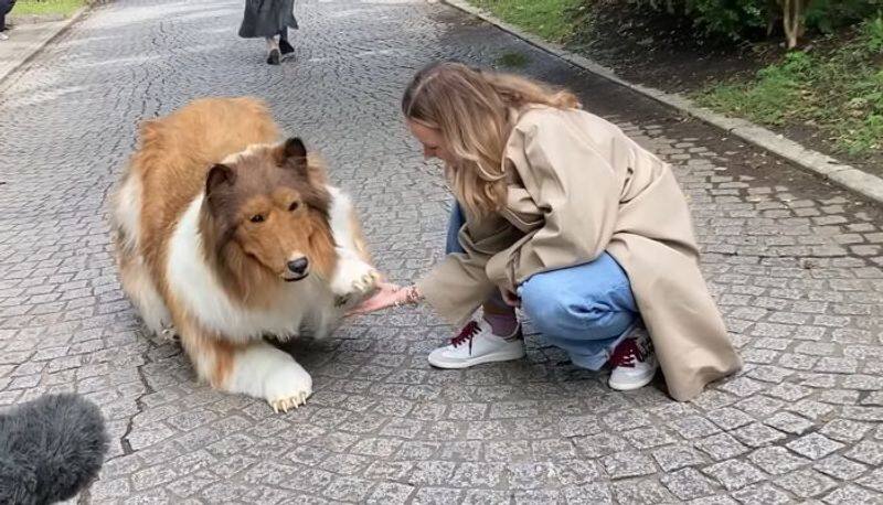 Japanese man named Toco spent Rs 11.65 lakh to be a dog (WATCH)