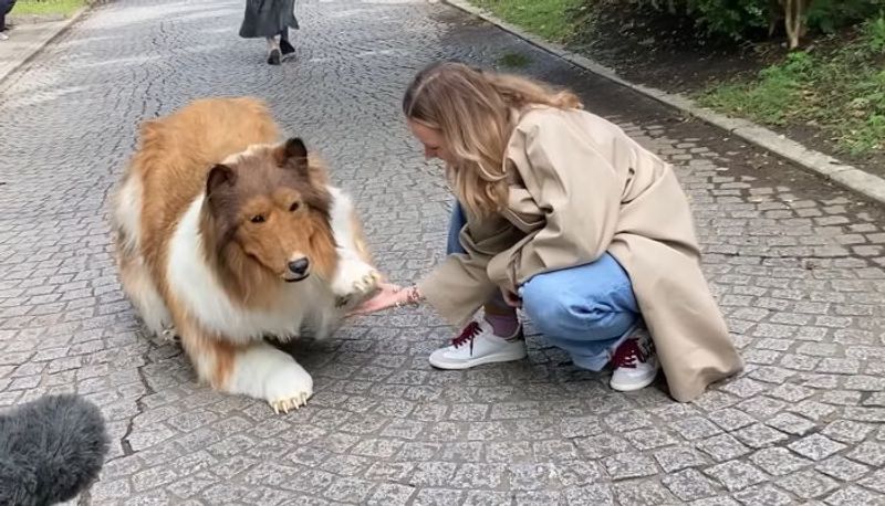 Japanese man named Toco spent Rs 11.65 lakh to be a dog (WATCH)