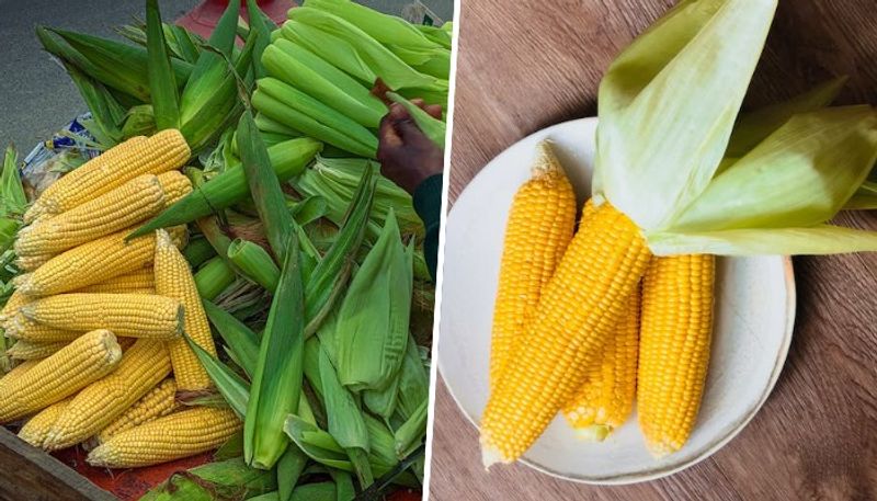 Heart health to Weight management: 5 health benefits of Corn ATG EAI