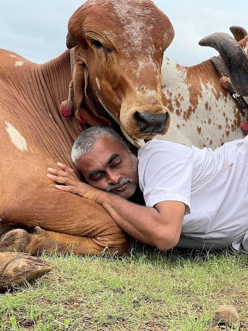 success story of gujarat farmer ramesh rupareliya who sold organic ghee of gir cow zrua