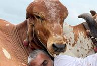 This Farmer Makes Crores With His Ghee Business iwh