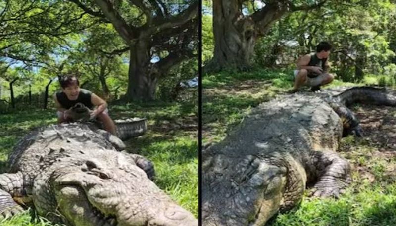 man trying to mount crocodile rlp