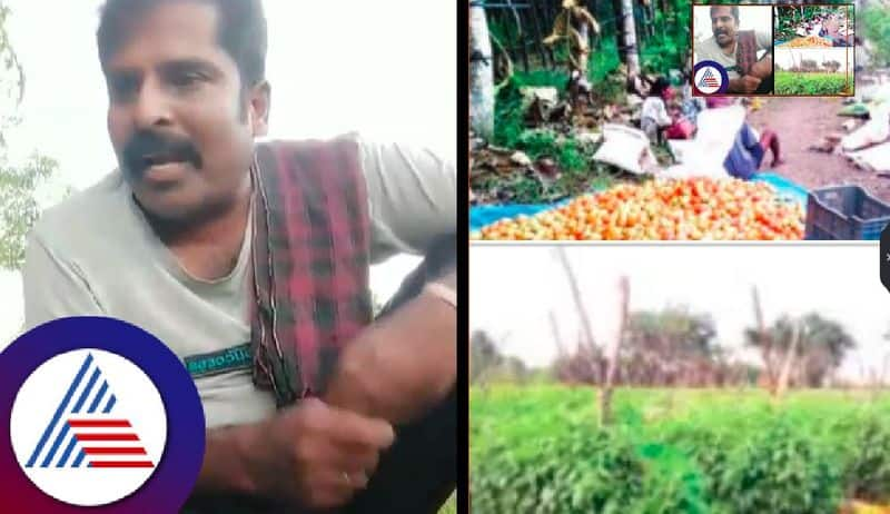 A farmer who bought land with the profit of growing vegetables at mysuru rav