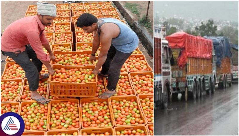 Kolar to Rajasthan going Tomato lorry was missing Farmers and traders panic sat