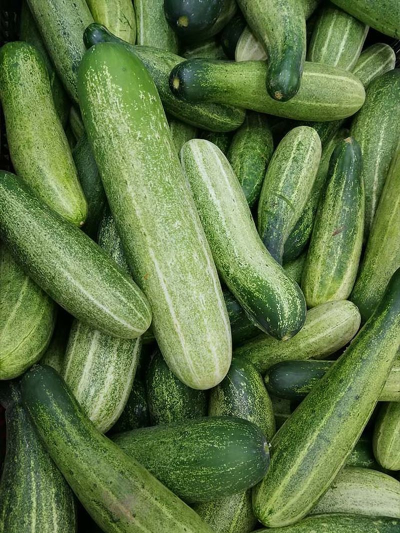 Eat cucumber every day in summer