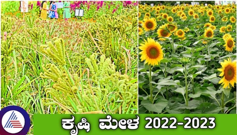 Bengaluru Farmers Festival millet include 5 new crops launched at agricultural fair sat