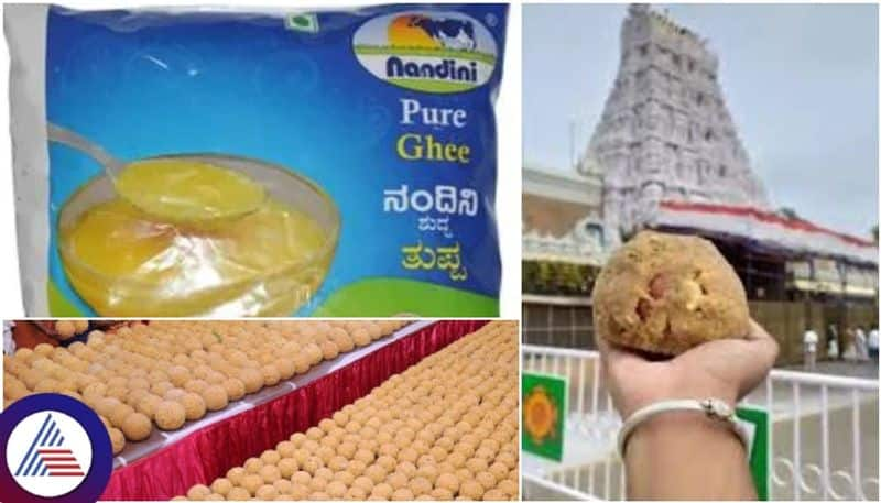 Karnataka Nandini ghee supply interruption for making Tirupati Laddu Cause revealed by KMF sat