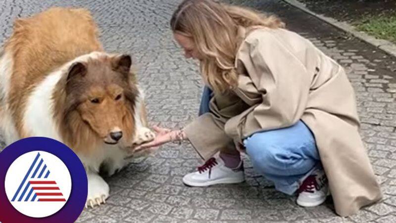 Viral Video A Man Became A Dog In Japan roo