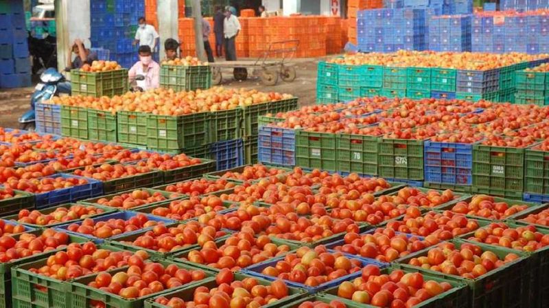 tomato prices creates records 15 kg box of tomato is sold for rs 2700 in kolar gvd