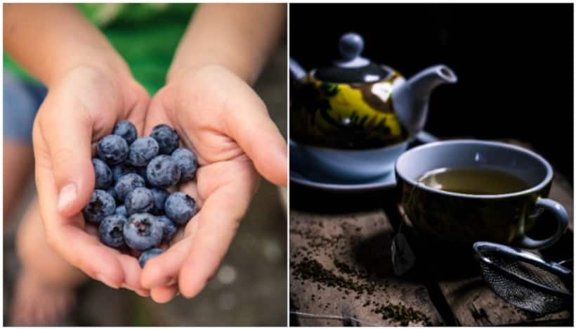 Boost Your Focus: Blueberries to Green Tea, 7 brain boosting foods for enhanced concentration