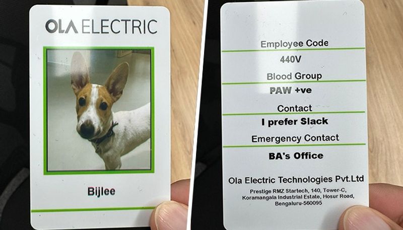 Ola Electric CEO hires a dog as the companys newest employee shares ID with employment details-sak