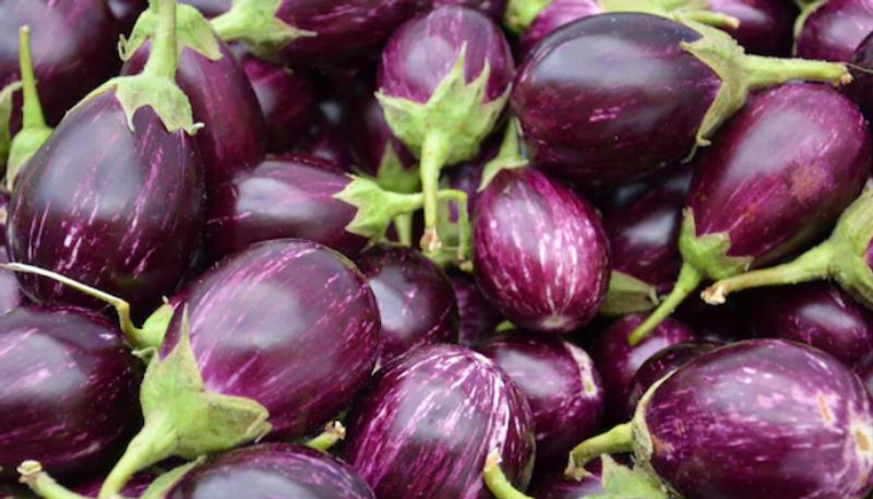 What happens if we eat brinjal during pregnancy rsl