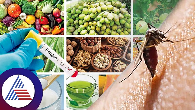 Know about dengue diet what should not eat to be recovered sum